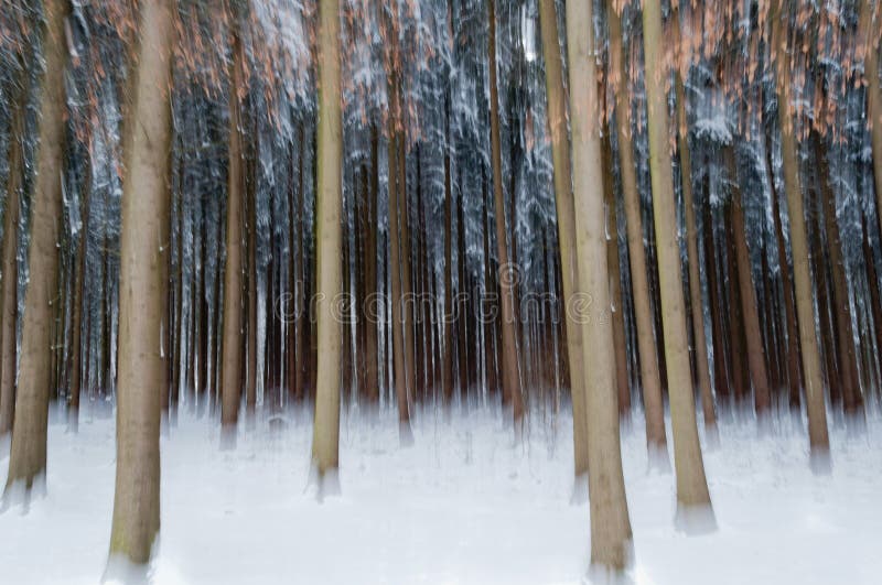 Abstract forest in winter