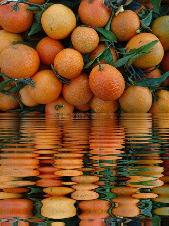 Abstract Colorful Fresh Fruit Art Stock Image Image of colorful