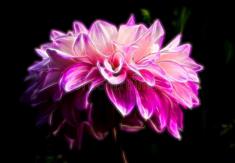 Abstract Glowing Magenta Shape Suggesting of a Dahlia stock photo