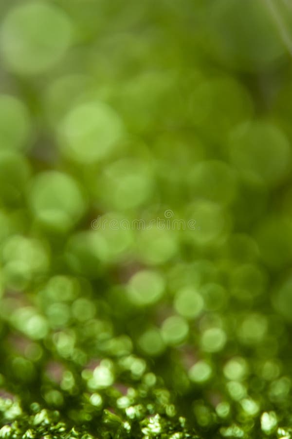 Abstract green background with circles