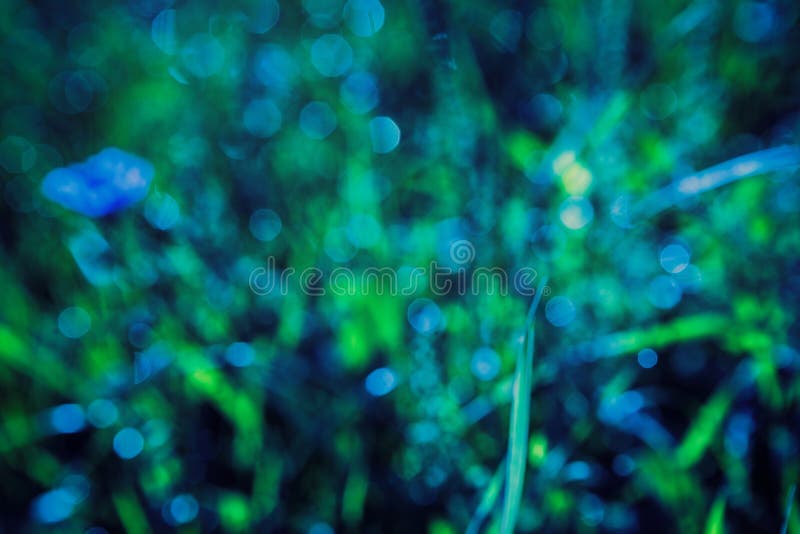 Abstract Green and Blue Nature Background Stock Image - Image of flower