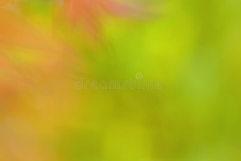 Lurk Polar Lean 2,503 Optimistic Wallpaper Stock Photos - Free & Royalty-Free Stock Photos from Dreamstime Lurk Polar Lean 2,503 Optimistic Wallpaper Stock Photos - Free & Royalty-Free Stock Photos from Dreamstime