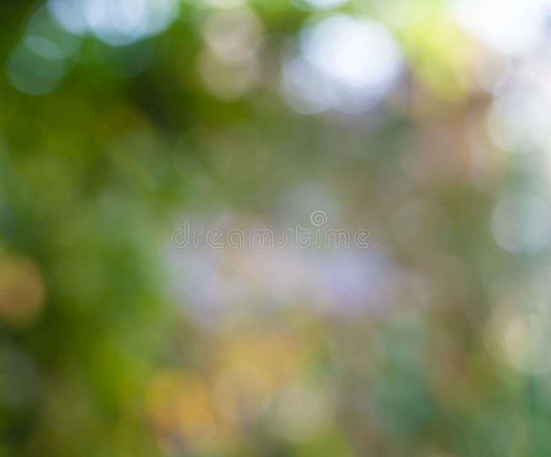 Abstract green colorful bokeh background from trees in the park royalty free stock photography