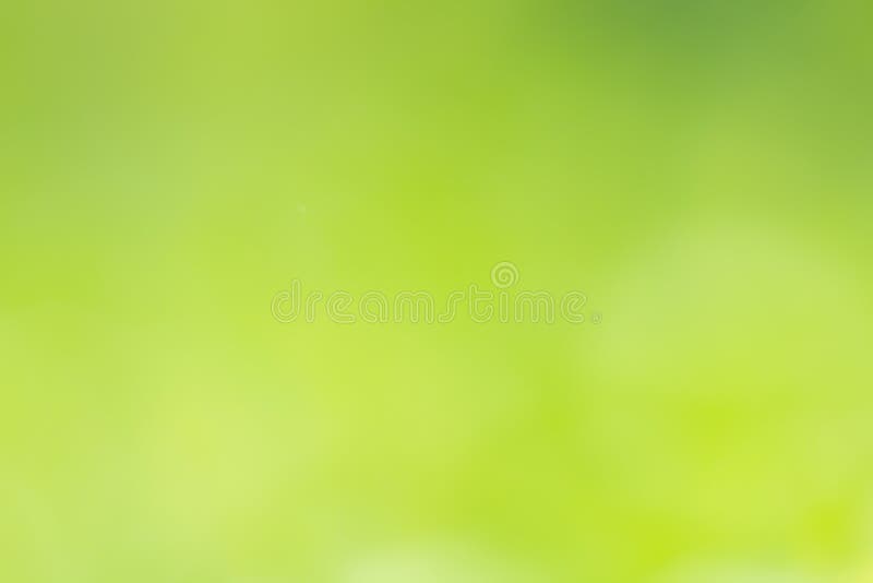 Abstract Green Colors Blur Background Stock Photo - Image of healthy,  bright: 126213322