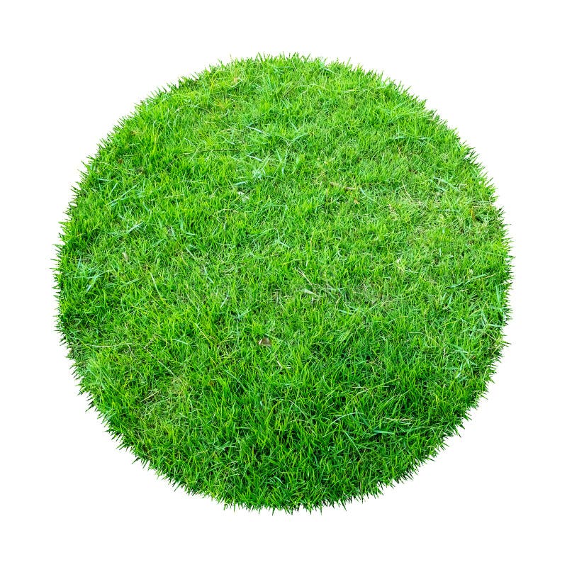 Abstract green grass texture for background. Circle green grass pattern isolated on a white background with clipping path