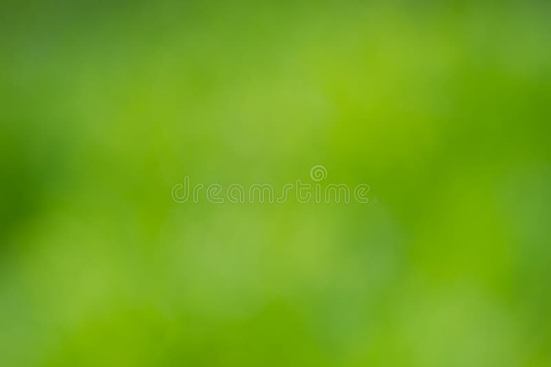 Abstract Green Leaves Blur Background Stock Image Image of nature