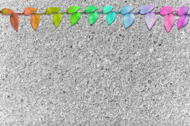 abstract green leaves Mexican daisy nature border gray terrazzo floor royalty free stock photography abstract green leaves Mexican daisy nature border gray terrazzo floor royalty free stock photography