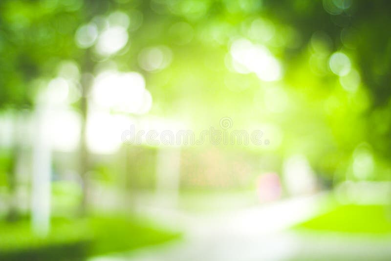 Abstract Green Nature Blur Background and Sunlight Stock Image - Image of  environment, focus: 153811165