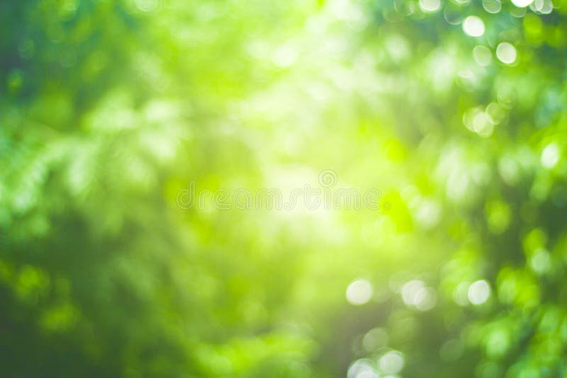 Những bức ảnh với hiệu ứng Natures Blur sẽ khiến bạn phải trầm trồ trước cảnh vật thiên nhiên tuyệt đẹp mà nó mang lại. Với độ tập trung vào chủ đề chính, bức tranh sẽ trở nên ấn tượng và nhấn mạnh đến sự tự nhiên, hòa chung với thiên nhiên.