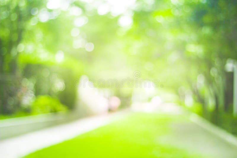 Abstract Green Nature Blur Background and Sunlight Stock Photo - Image of  abstract, concept: 153811228