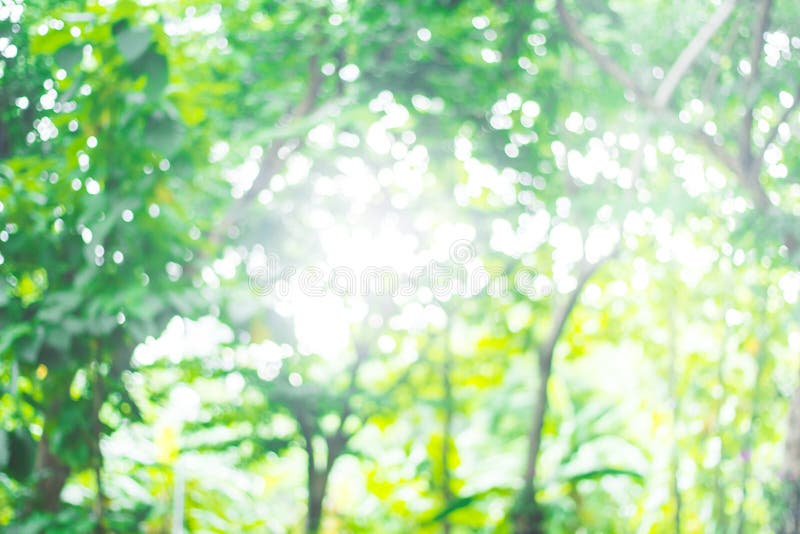 Abstract Green Nature Blur Background and Sunlight Stock Photo - Image of  shine, light: 156781828