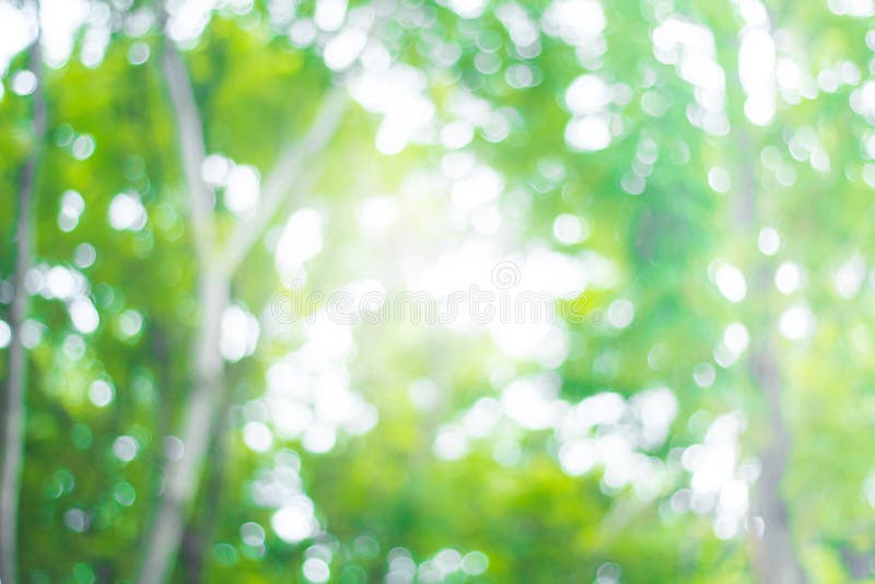 Với hình ảnh liên quan đến từ khóa Green Nature Blur, bạn sẽ được trải nghiệm những cảnh quan thiên nhiên tuyệt đẹp với màu sắc xanh tươi và hiệu ứng mờ nhẹ nhàng, tạo cảm giác bình yên và thư giãn, đem lại cho bạn những giây phút tuyệt vời giữa thiên nhiên.