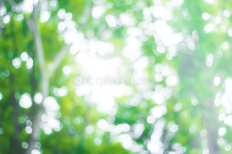 Abstract Green Nature Blur Background and Sunlight Stock Photo - Image of  pattern, background: 156781866