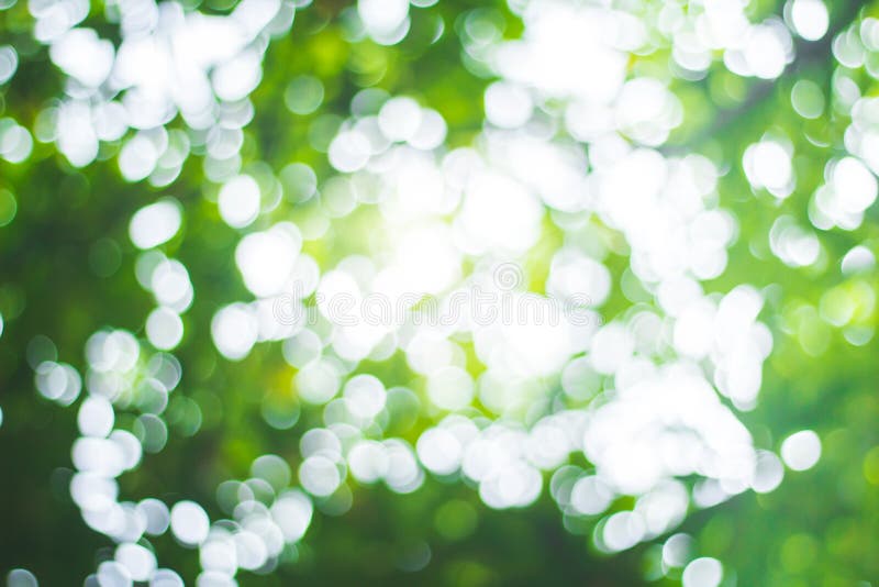 Abstract Green Nature Blur Background and Sunlight Stock Photo - Image of  space, abstract: 156781900