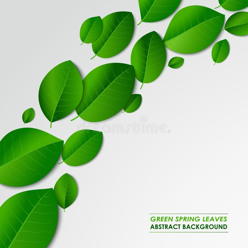 Abstract green spring leaves background vector illustration Abstract green spring leaves background vector illustration
