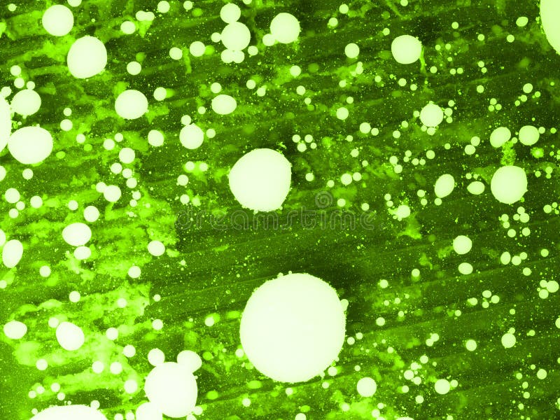 Abstract Green Texture with White Spots. Closeup Stock Photo Image of