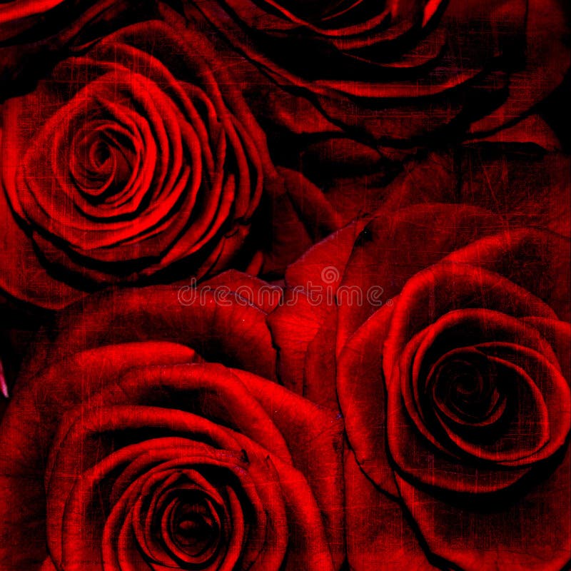 Abstract grunge textured background with roses vector illustration