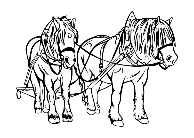 draft horse sketch