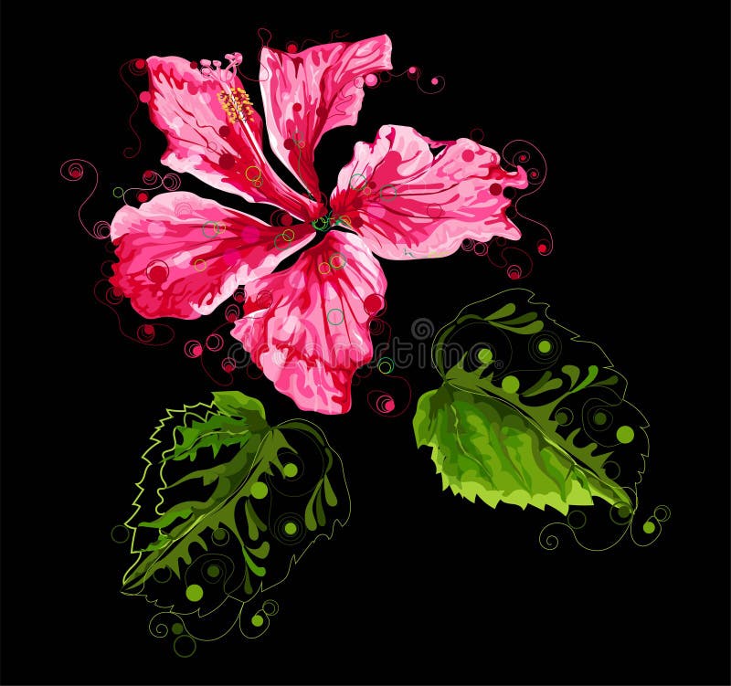 Abstract Hibiscus Flower on Black Background, Illustration Stock Vector