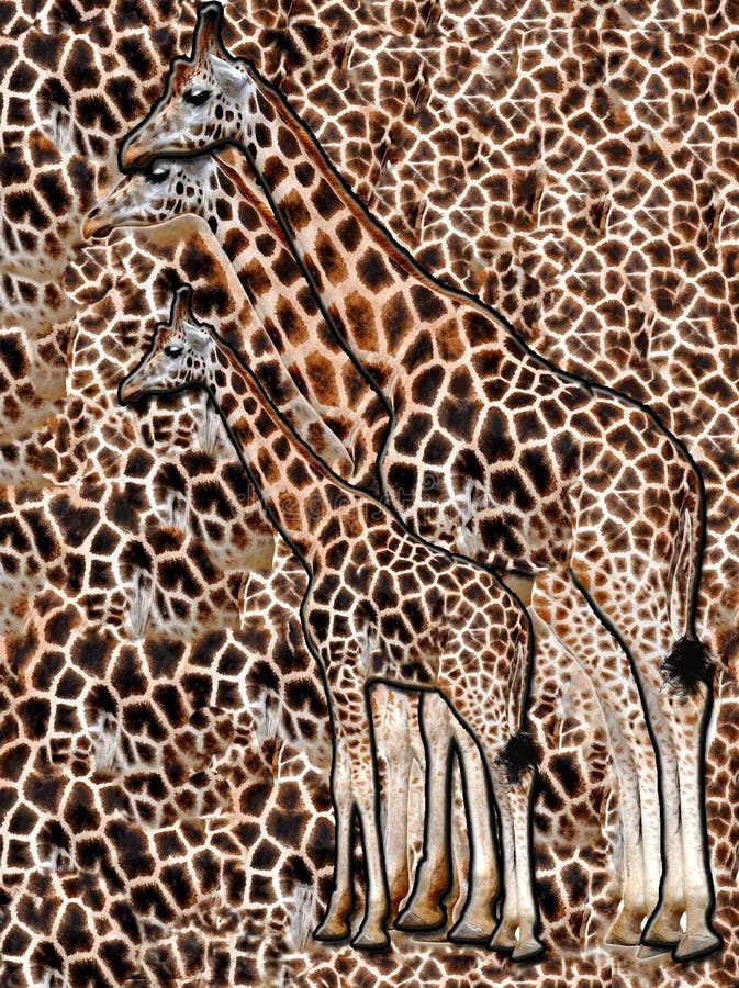 Download Giraffe Print Texture RoyaltyFree Vector Graphic  Pixabay