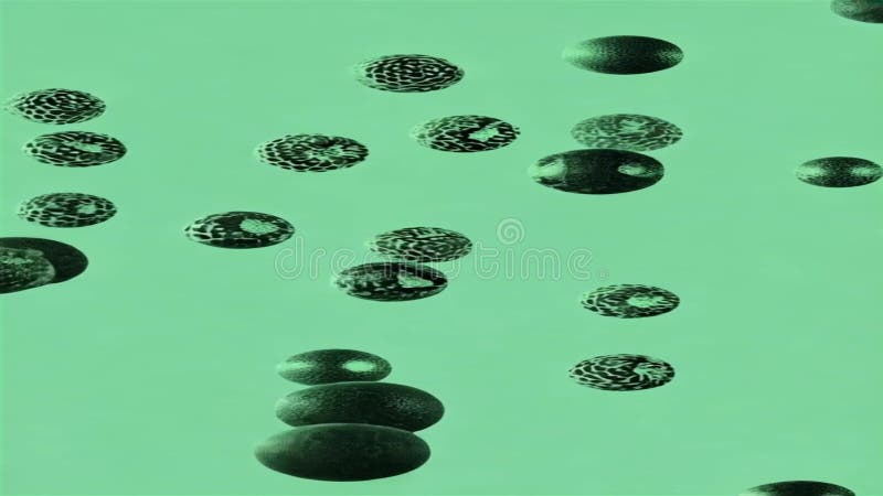 Abstract Green and Black Pattern: Microscopic View of Seeds or Cells royalty free illustration
