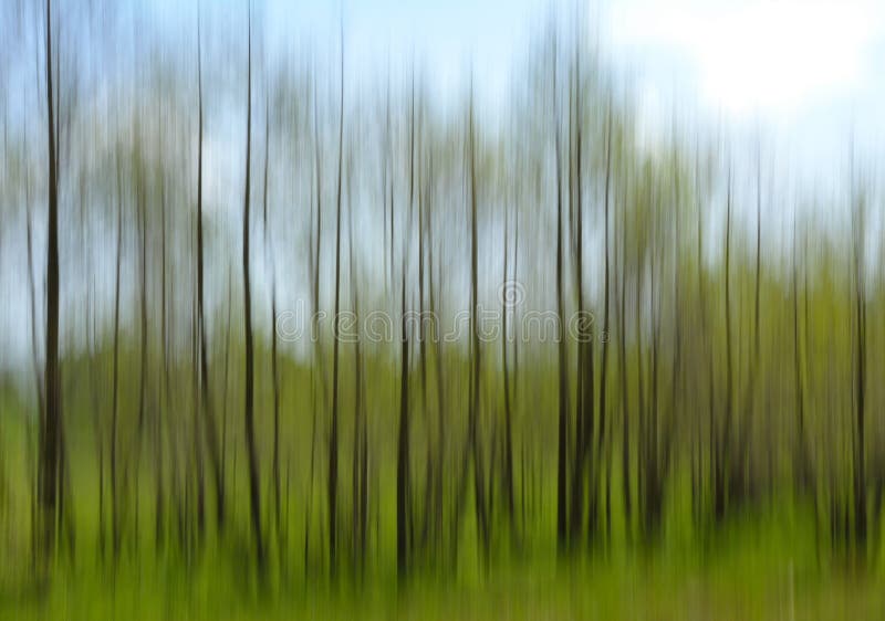 Abstract landscape of defocused spring forest