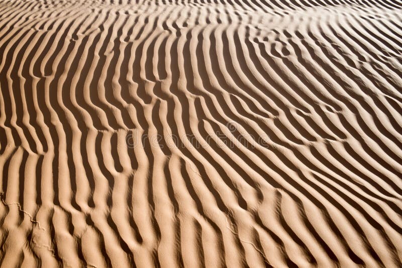 Abstract landscape in the Sand dunes desert of Sahara