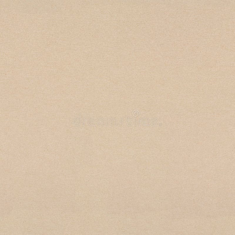 Light Beige Background