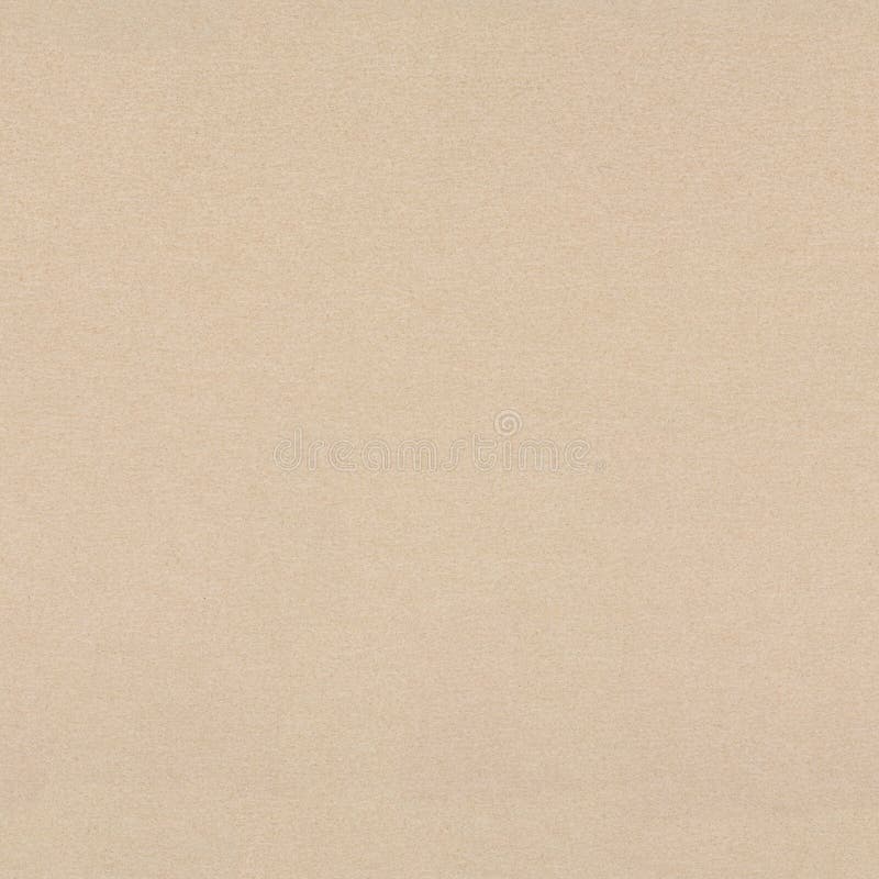 Light Beige Background