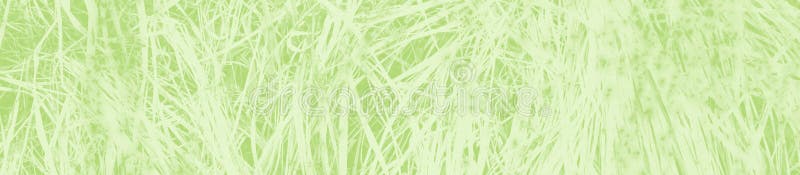 Abstract light green background with copy space for design vector illustration