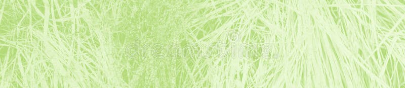 Abstract light green background with copy space for design royalty free stock images