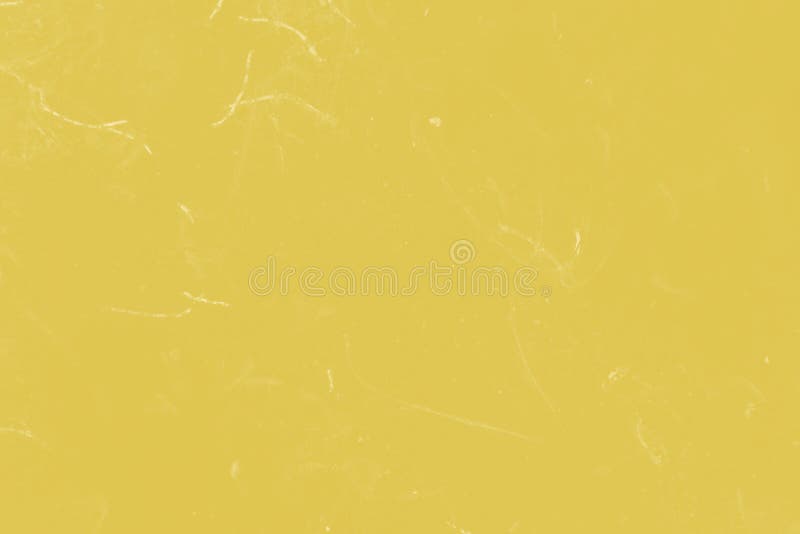 Bright Mustard Yellow Color Background Vector Illustration Stock