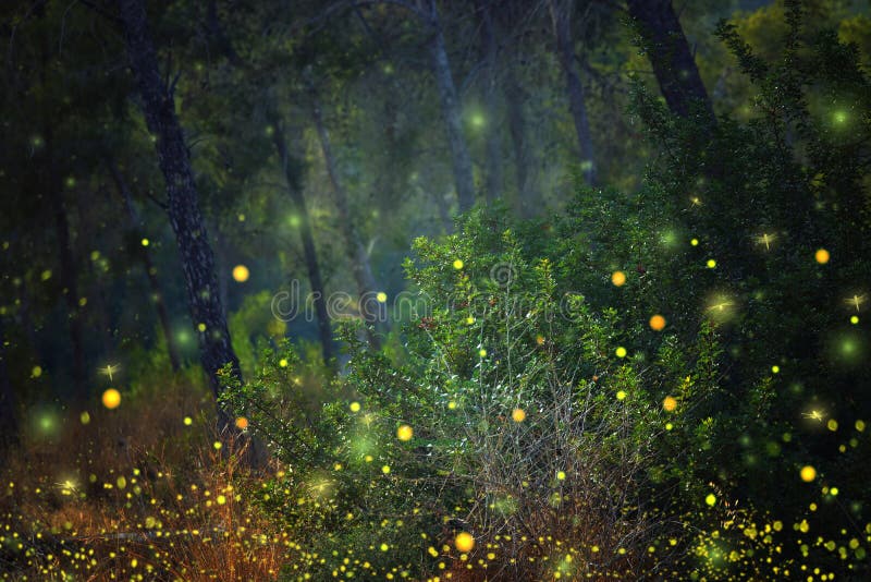 Abstract and magical image of Firefly flying in the night forest. Fairy tale concept.