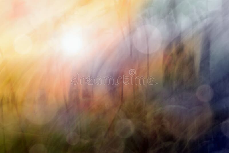 Abstract Messy Natural Scene , Grass in the Sunset Light Stock Image Image of nature, messy