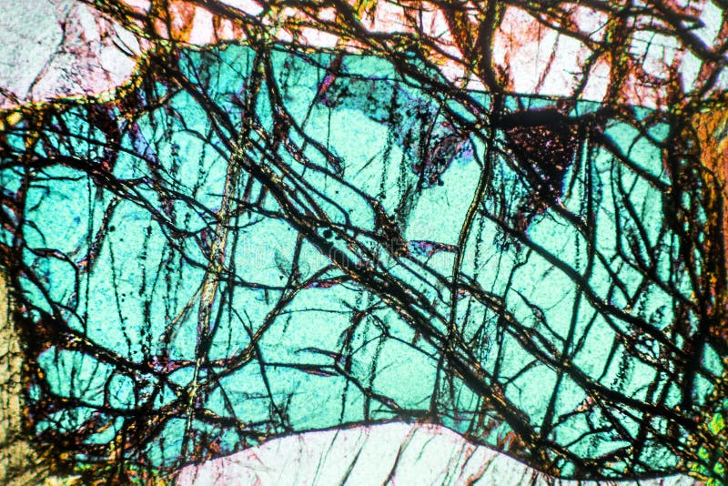 banner niece cock 1,211 Polarizing Microscope Stock Photos - Free & Royalty-Free Stock Photos from Dreamstime banner niece cock 1,211 Polarizing Microscope Stock Photos - Free & Royalty-Free Stock Photos from Dreamstime