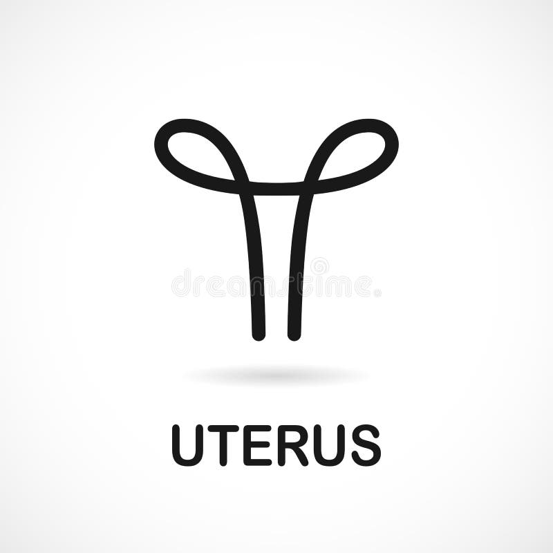 Uterus icon in outline style isolated on white background. Pregnancy symbol  stock vector illustration. Stock Vector by ©PandaVector 142912137