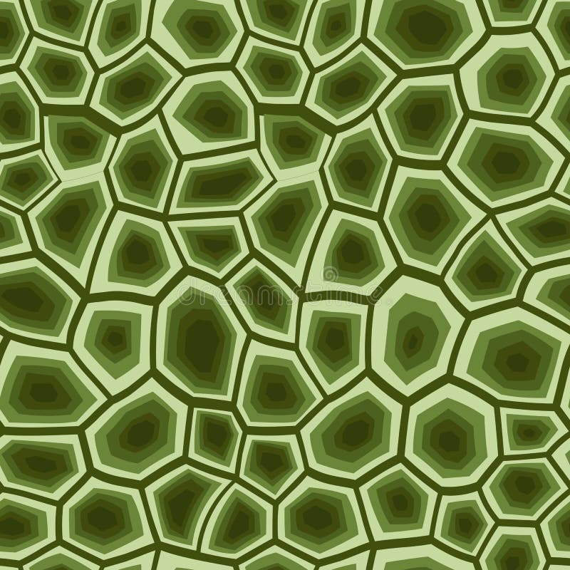 Abstract Modern Turtle Shell Seamless Pattern. Animals Trendy