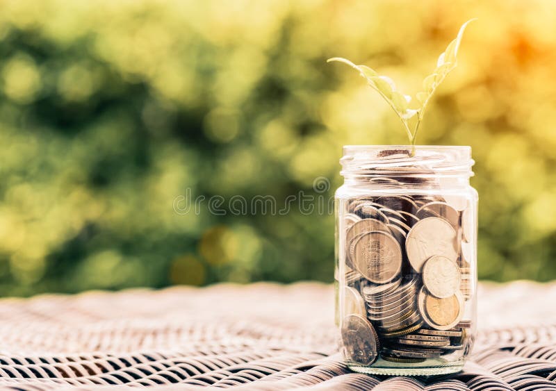 Abstract money saving baby tree in glass jar coins