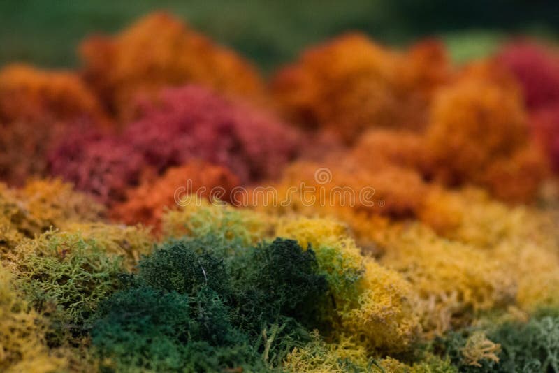 Abstract moss coloured stock photo