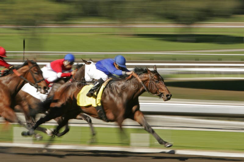 14.674 fotos de stock e banco de imagens de Horse Racing Back