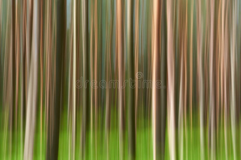 Abstract motion forest background