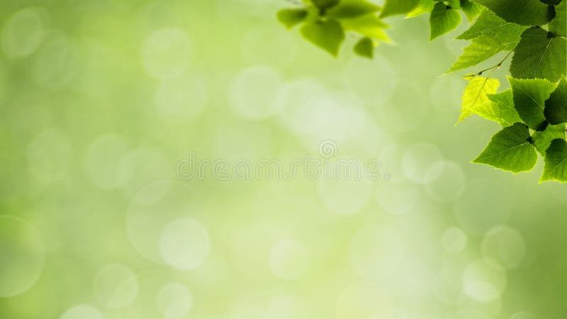 Abstract natural backgrounds