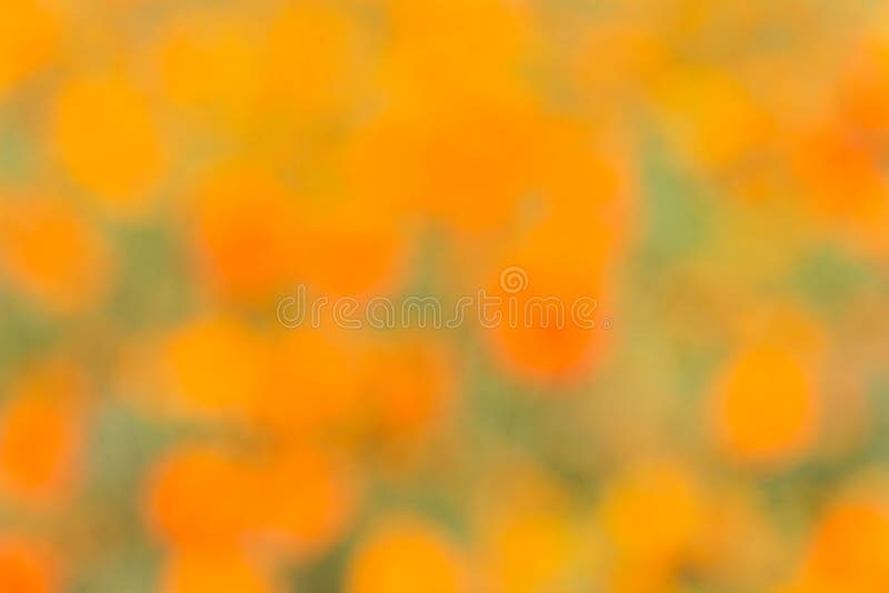 Abstract natural colorful background royalty free stock photo