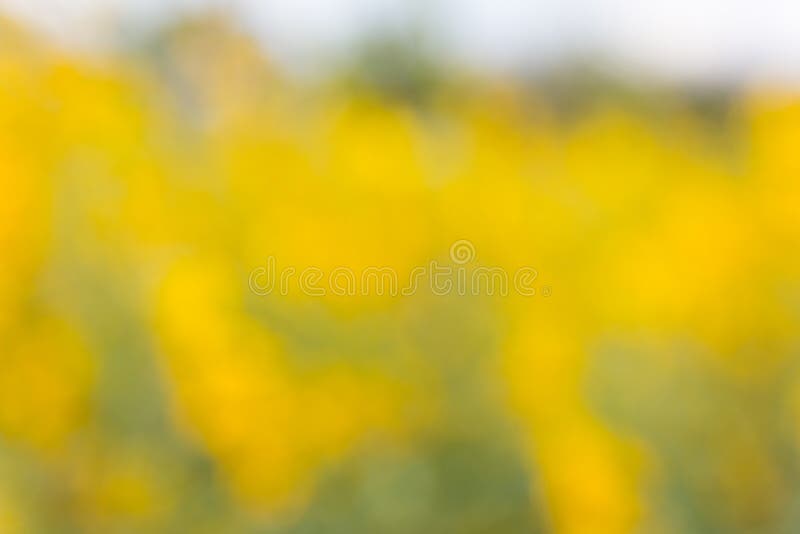 Abstract natural colorful background stock image