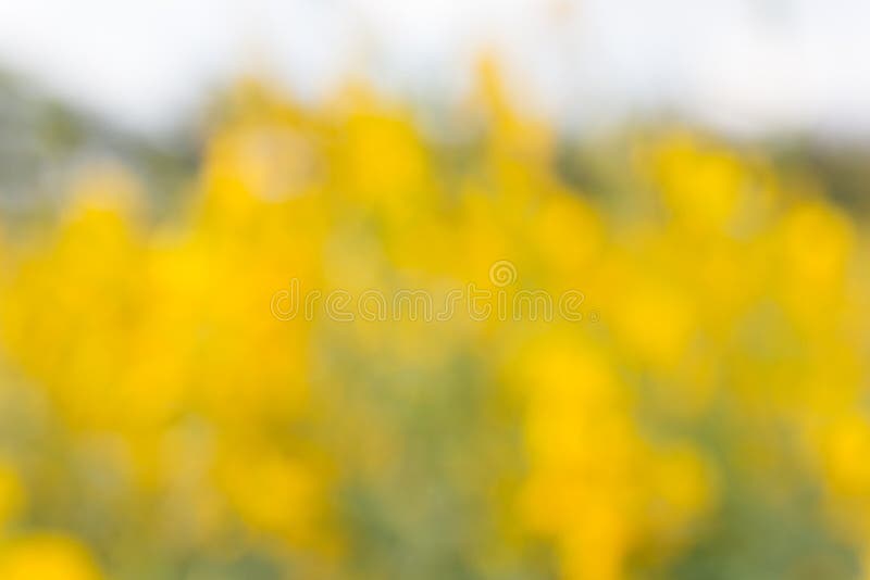 Abstract natural colorful background royalty free stock photos