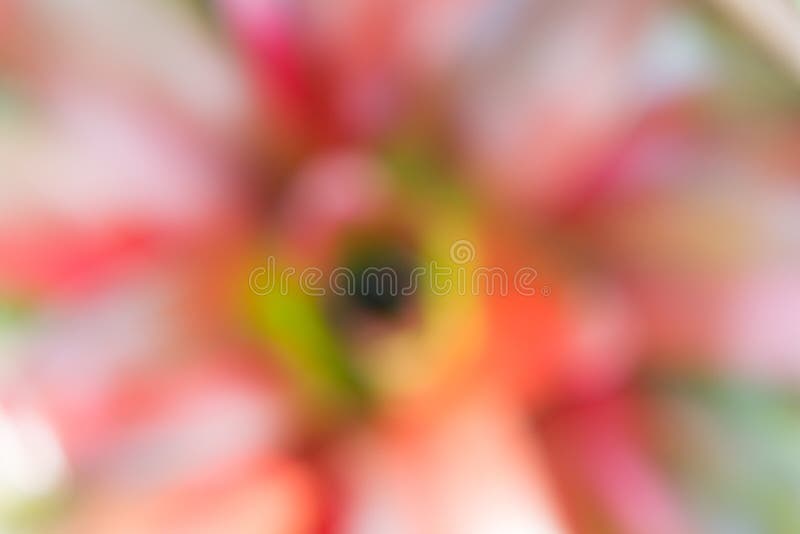 Abstract natural colorful background royalty free stock photography