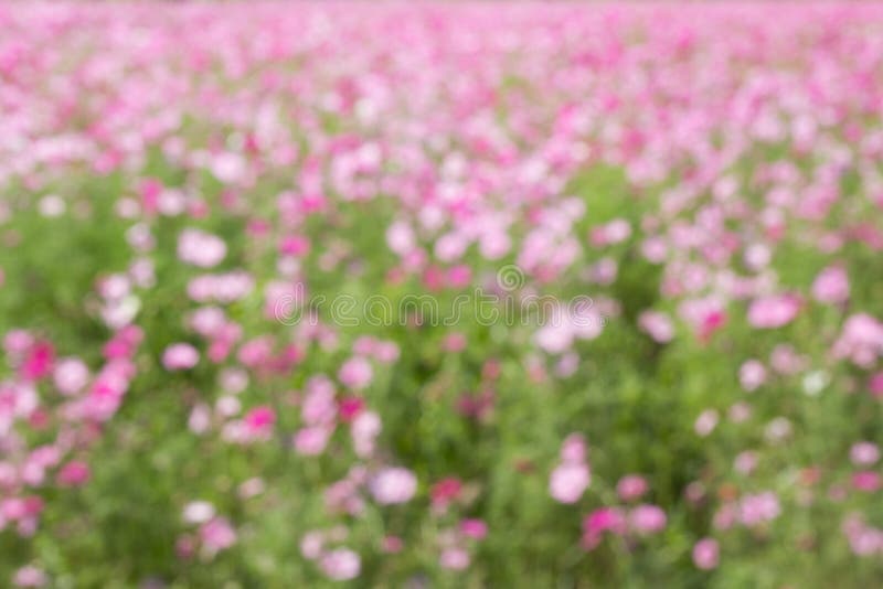 Abstract natural colorful background stock photos