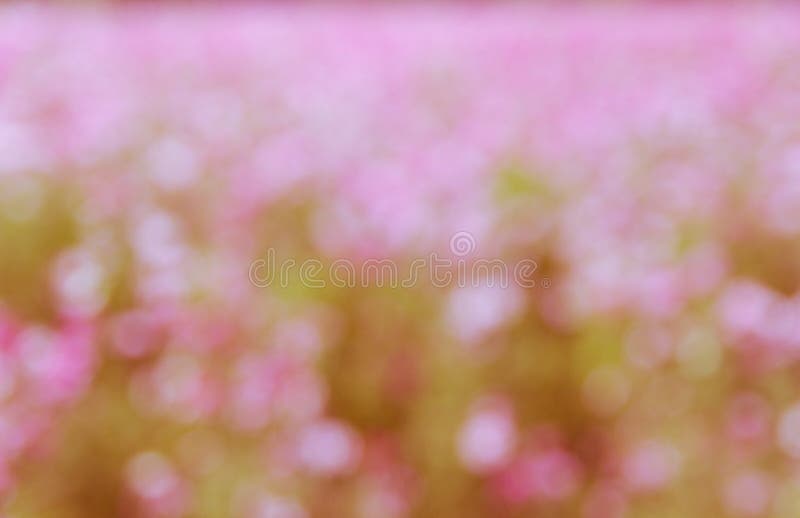 Abstract natural colorful background royalty free stock image