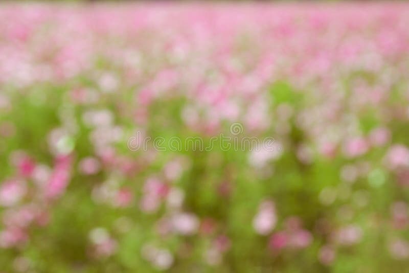 Abstract natural colorful background stock image