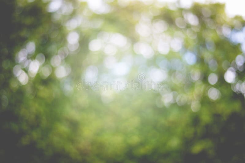 Abstract Nature Blur Background Stock Image - Image of beautiful, focus:  125095035
